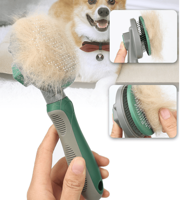 The Hair Whisperer: The Game-Changing Automatic Hair Removal Comb