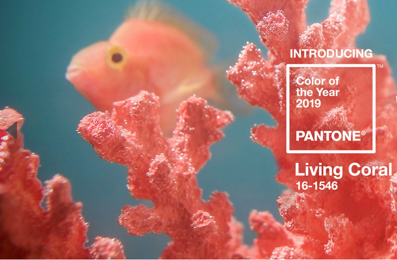 Lariat Necklace: Orange Carnelian Discs with Leaves on 24" Gold Colored Chain-1