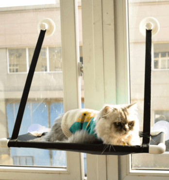 Luxury Cat Haven: The Ultimate Window Sill Cat Hammock
