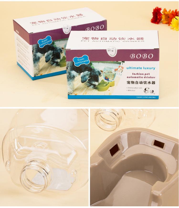The Ultimate Cat Combo Feeder: Eat & Drink In Style