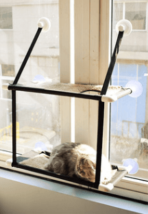 Luxury Cat Haven: The Ultimate Window Sill Cat Hammock