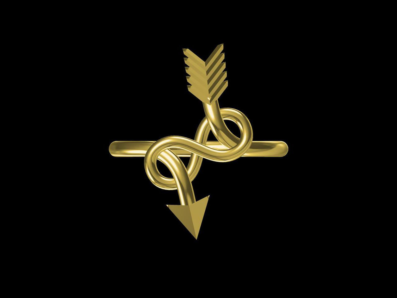 Custom Design: Arrow & Infinity Ring - Sterling Silver plated in 18K gold or rhodium